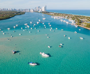 Cruises
